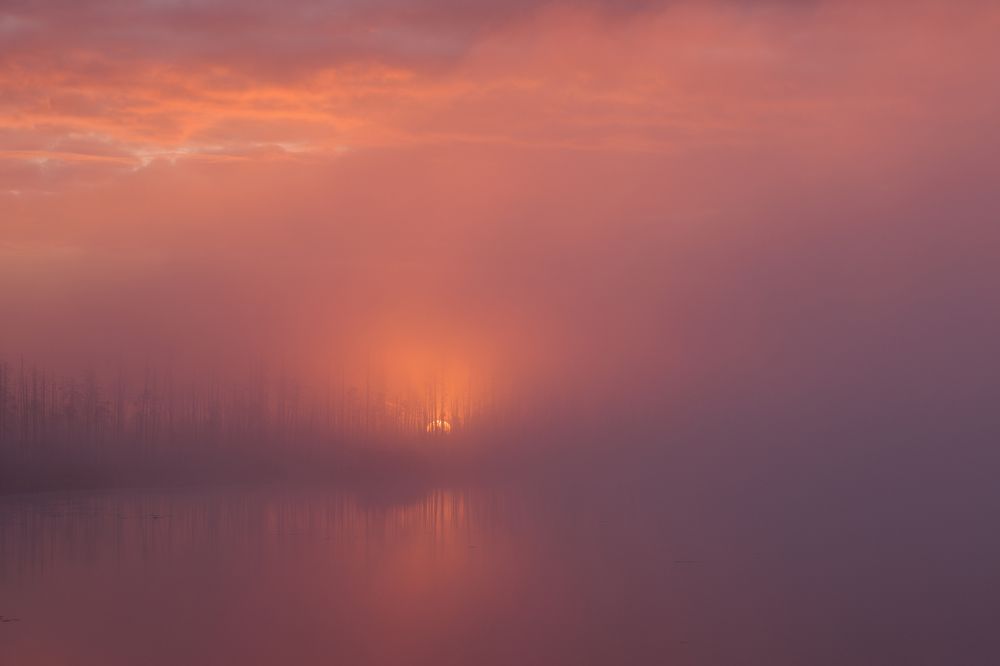 Photograph by Иван Чаланов