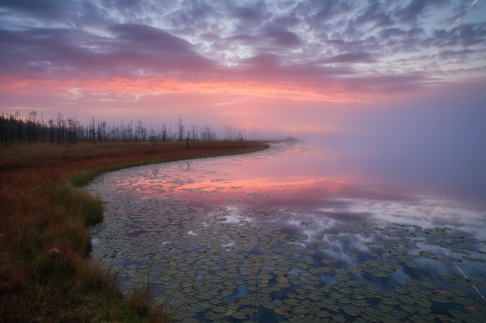 Photograph by Иван Чаланов