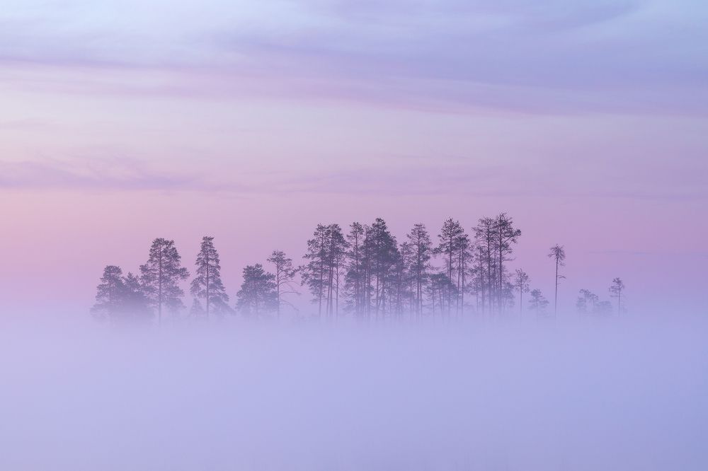 Photograph by Иван Чаланов