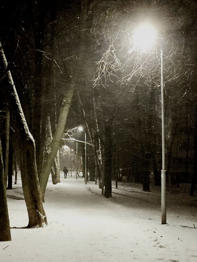 Photograph by Vol-de-M