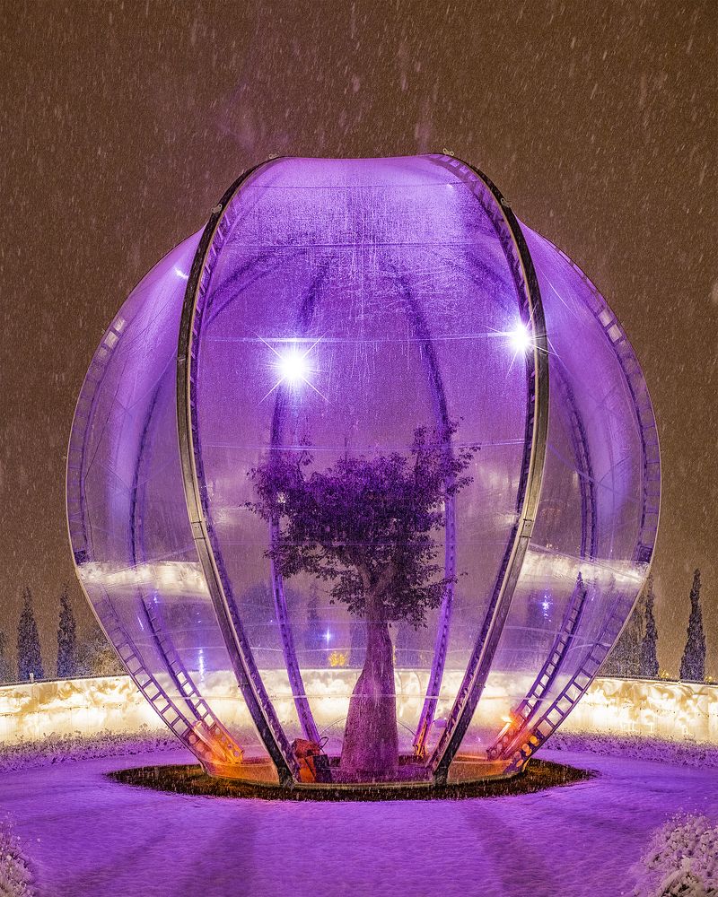 Photograph by Сергей Лексин