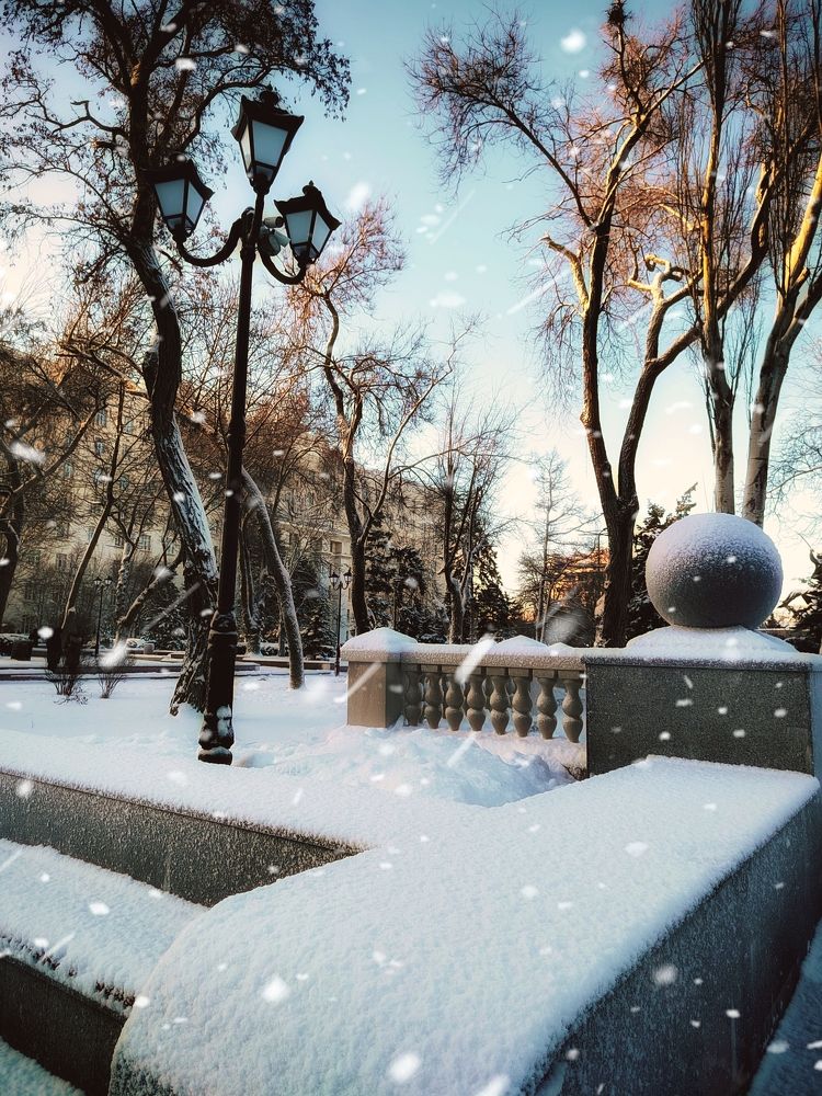 Photograph by Ирина