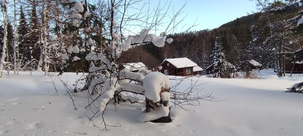 Photograph by Людмила Воропаева