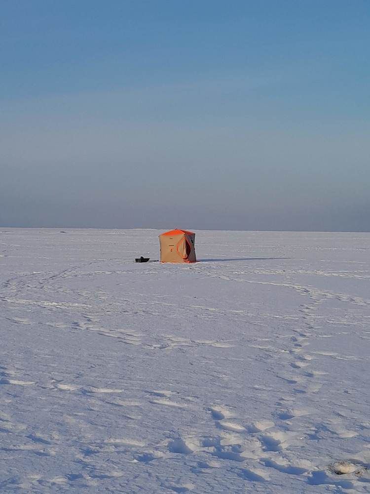 Photograph by Виталий