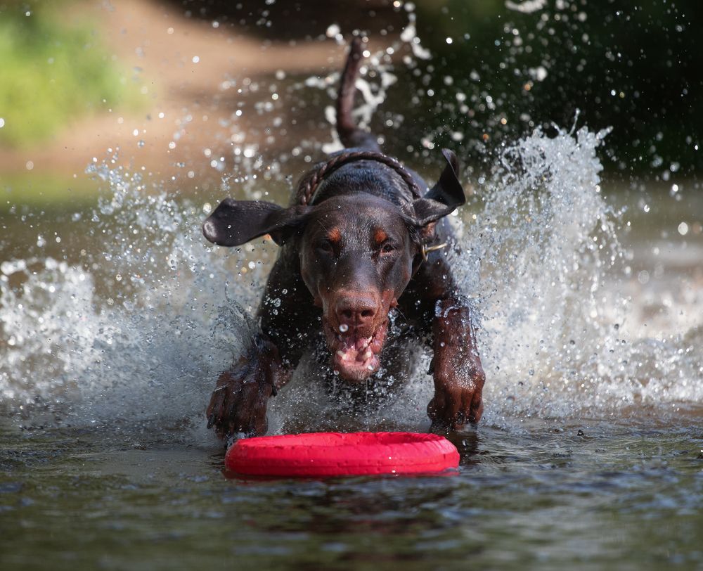 Photograph by Юлия Болдинова