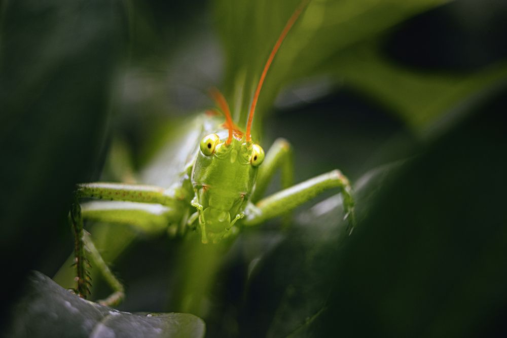 Фотография автора Ильченко Оксана
