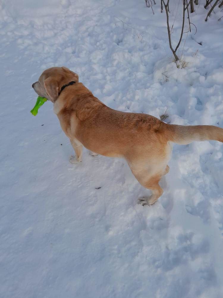 Photograph by Виталий