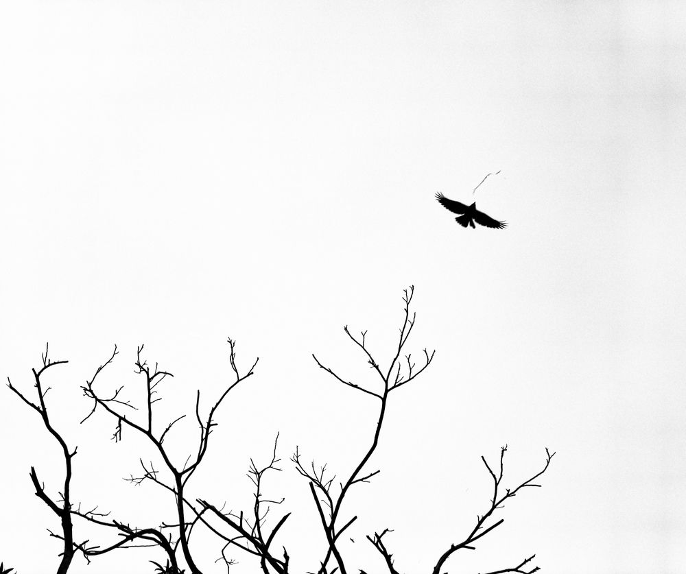 Photograph by Pritam Majumder