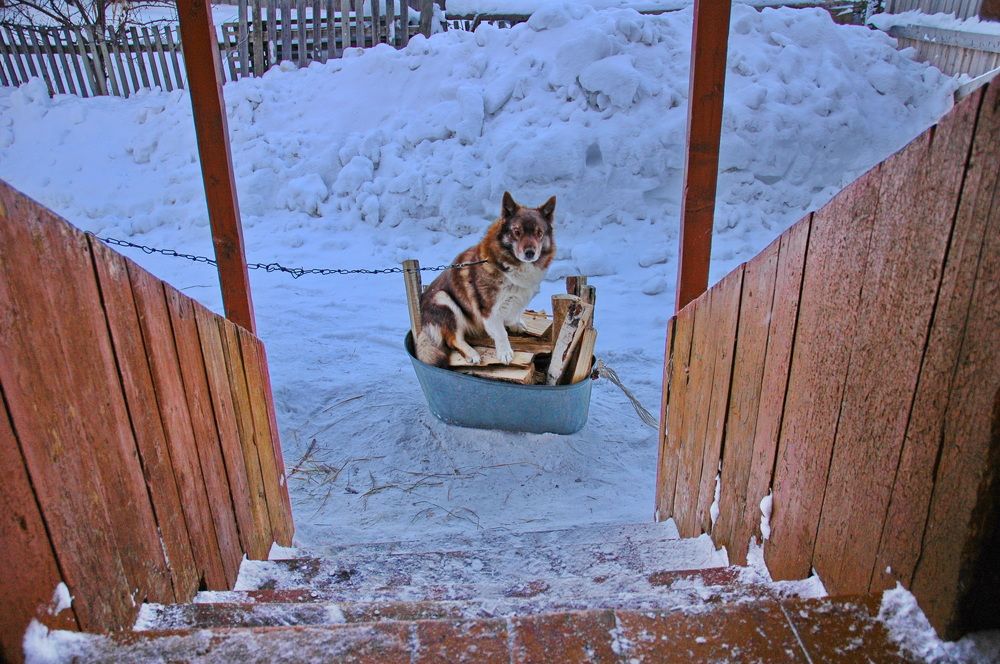 Фотография автора Сергей Тимофеев