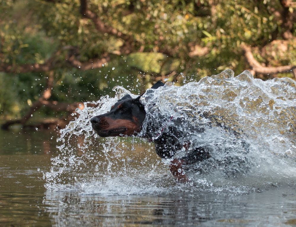 Photograph by Юлия Болдинова