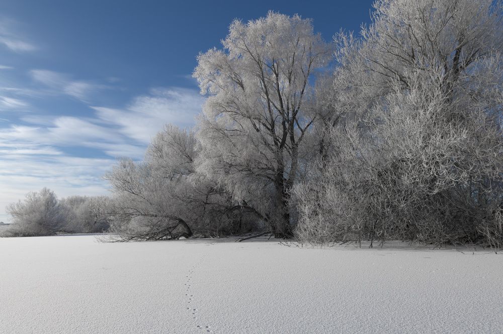 Photograph by Наталия Брянцева