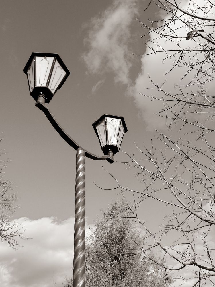 Photograph by Наталия