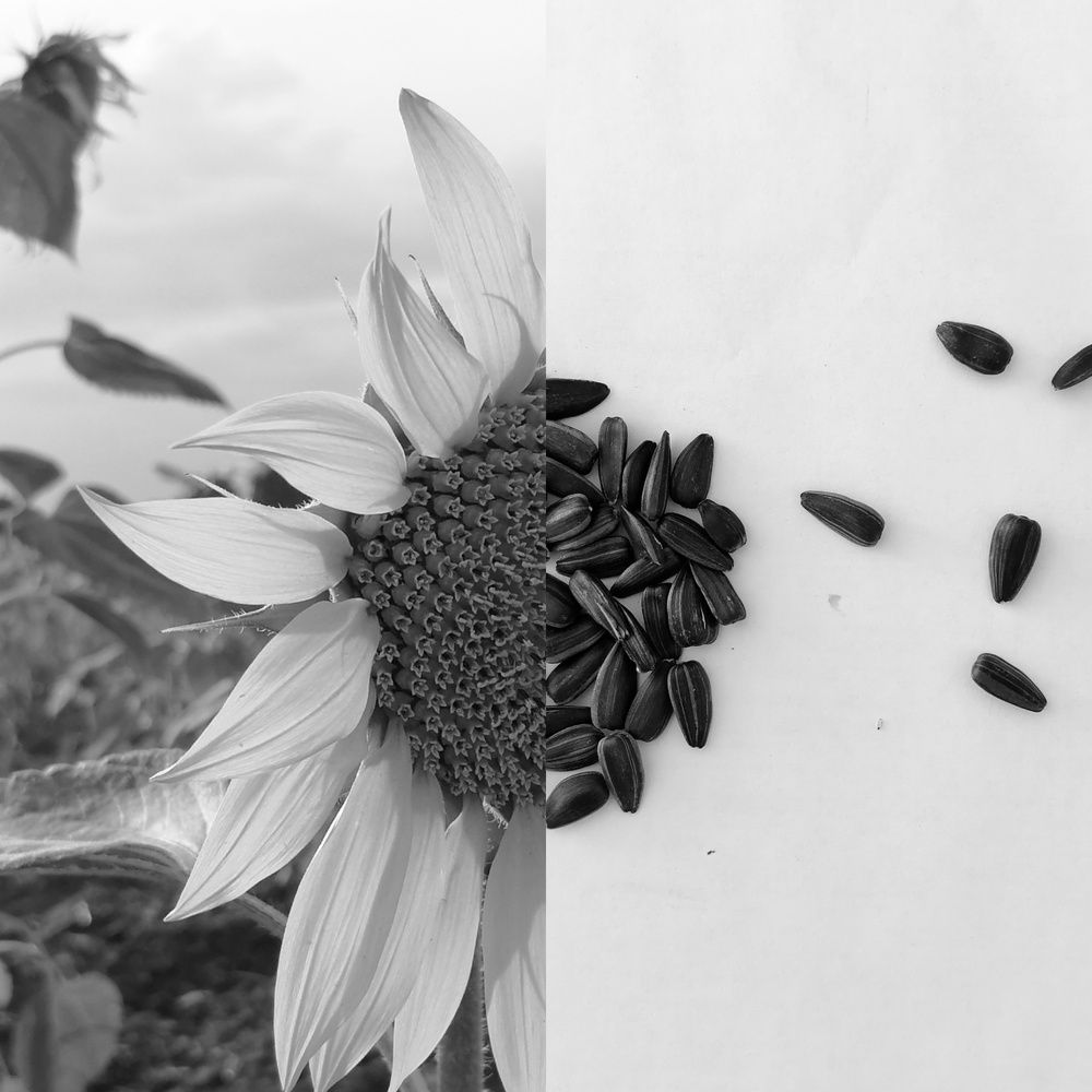 Photograph by Наталия