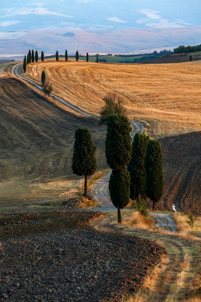 Photograph by Игорь Соколовский