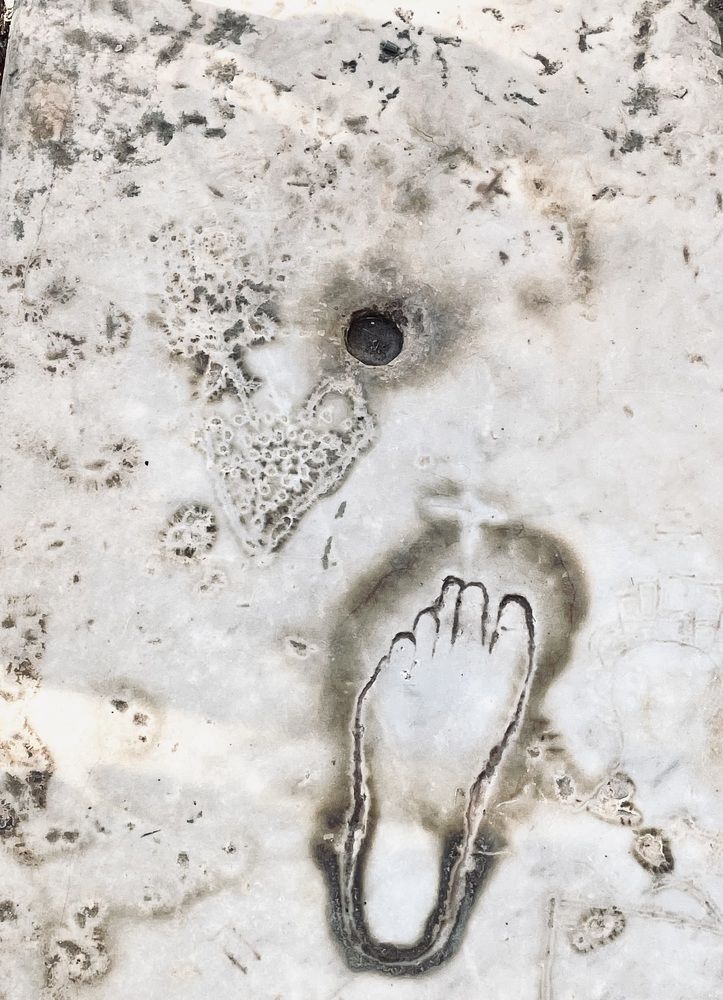 Photograph by Лариса Кошеляевская