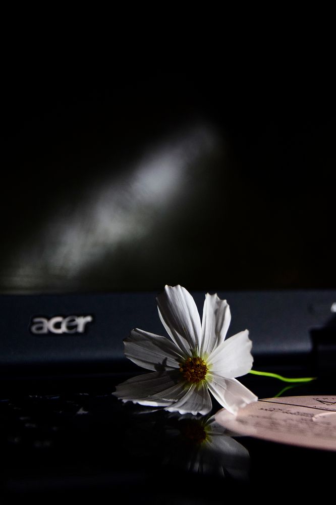 Photograph by Ольга Рыкова