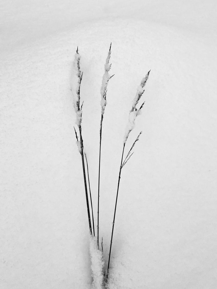 Photograph by Татьяна Михайловна