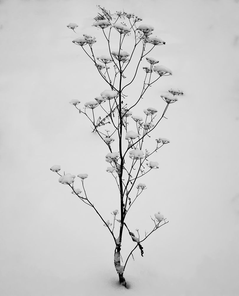 Photograph by Татьяна Михайловна