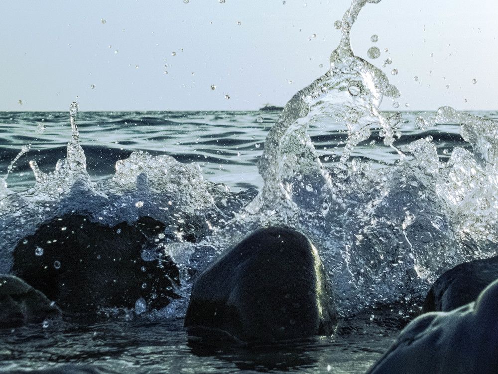 Фотография автора Анастасия Зайчуковская