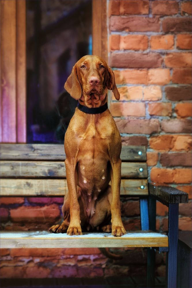 Photograph by Игорь Майоров