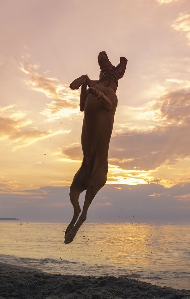 Photograph by Natalia Bolotenkova