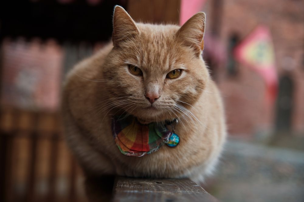 Photograph by Виктор Иванов