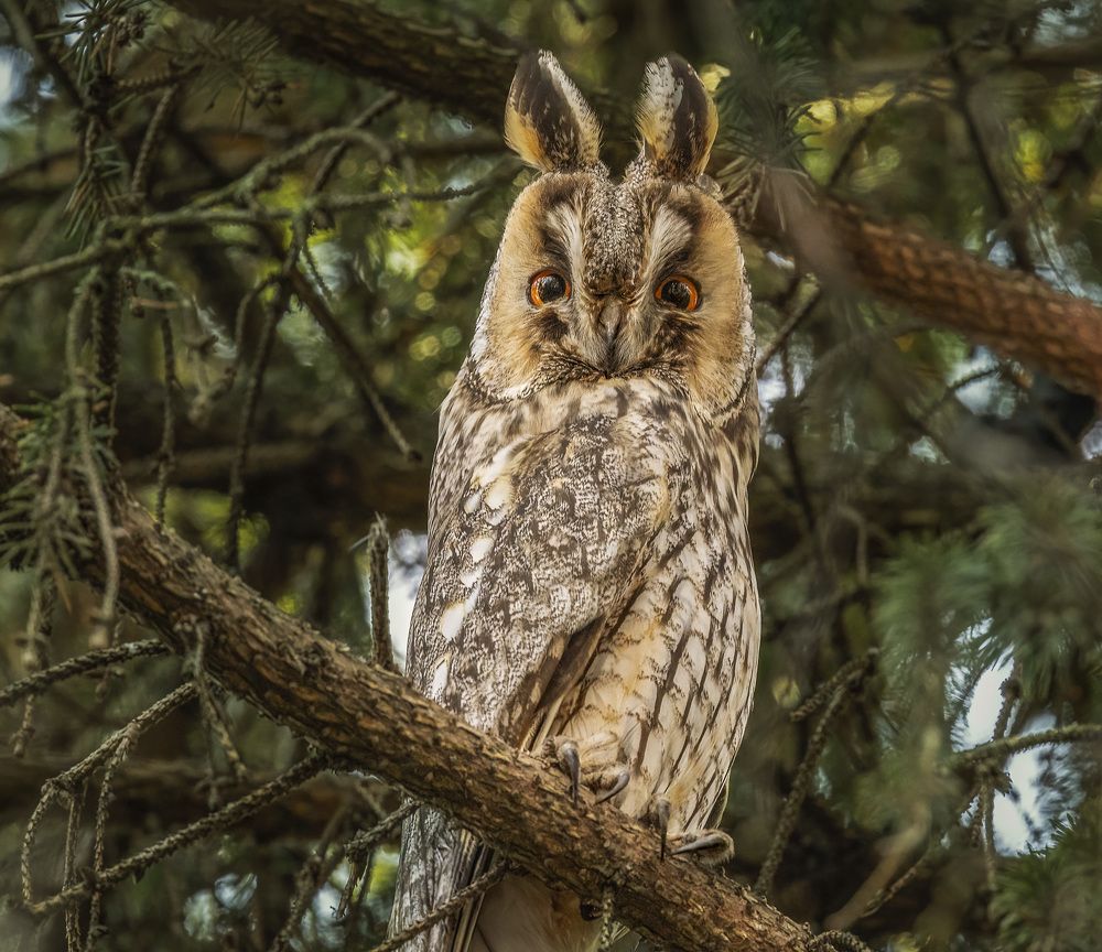 Photograph by АЛЕКСАНДР ПОПИК