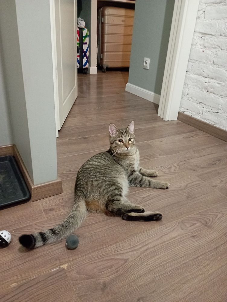 Фотография автора Natalia Khodina