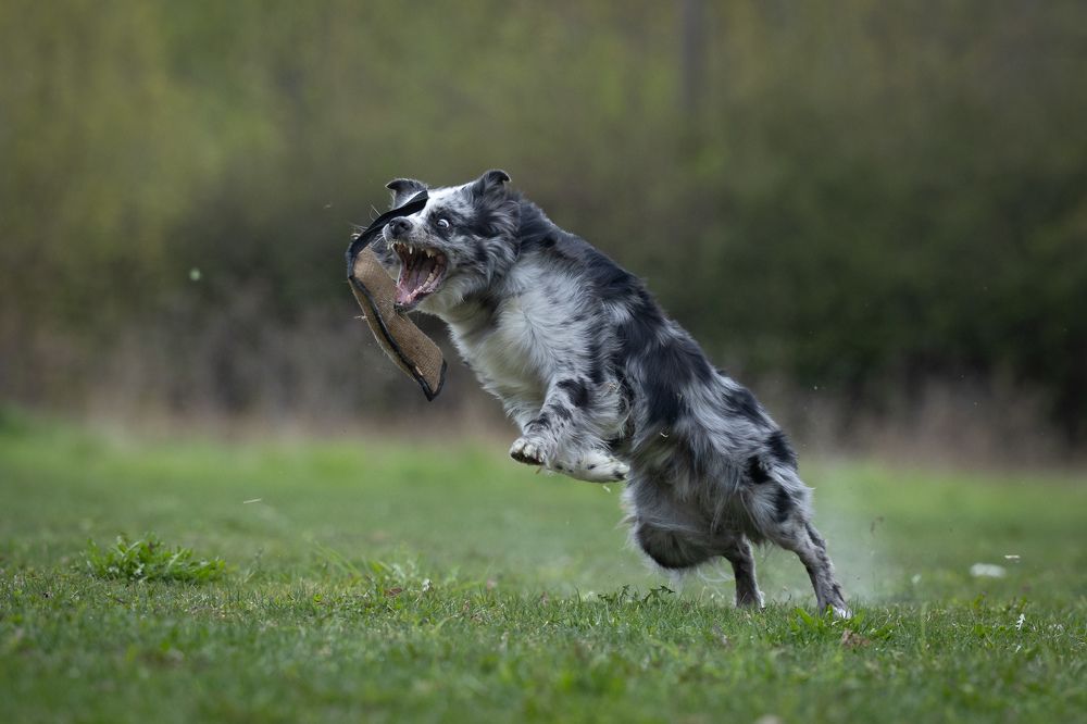 Photograph by Илья Юфа