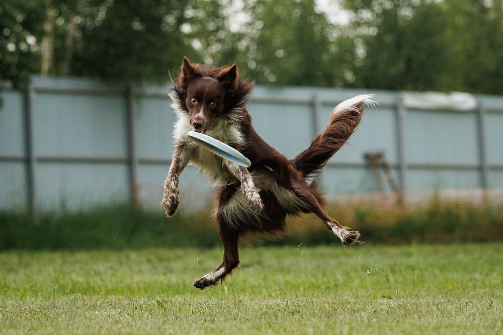 Photograph by Илья Юфа