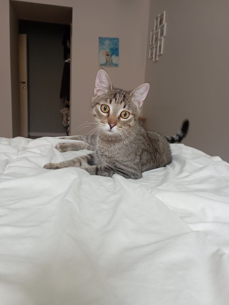 Фотография автора Natalia Khodina