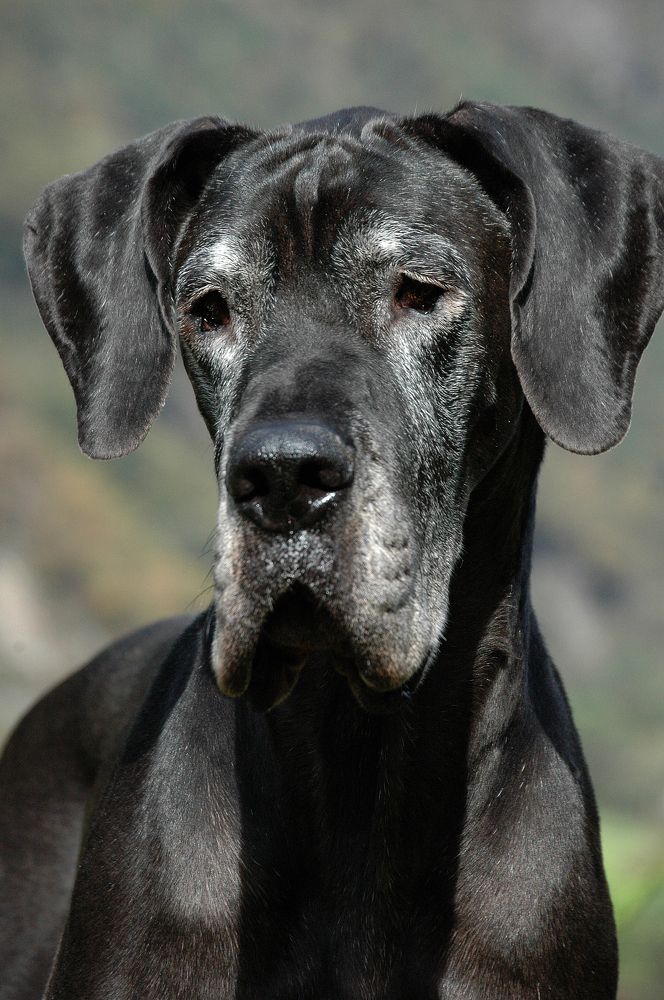 Photograph by Диана Ульянцева