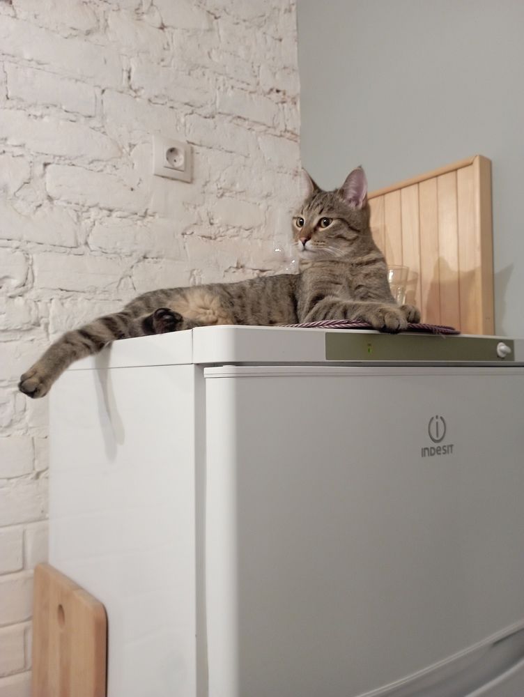 Фотография автора Natalia Khodina