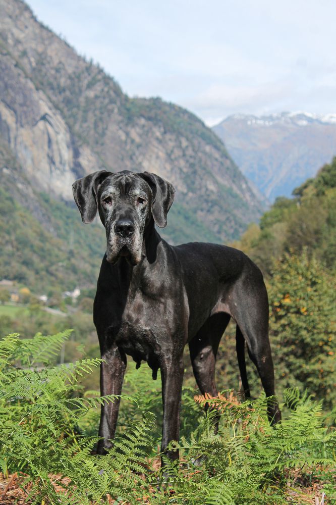 Photograph by Диана Ульянцева