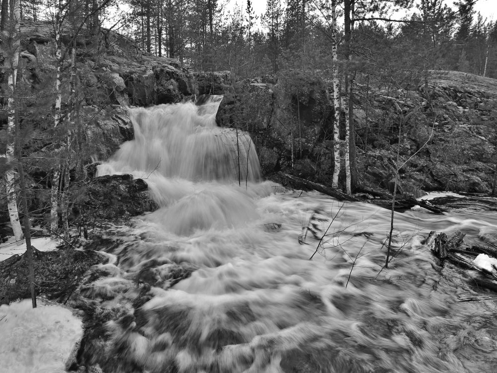 Photograph by Николай Раппу