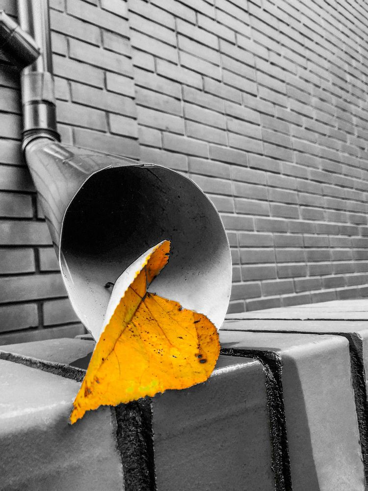 Вот и осень пришла... / Autumn Has Come...