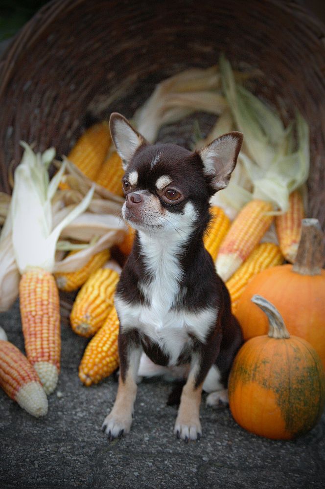 Photograph by Диана Ульянцева