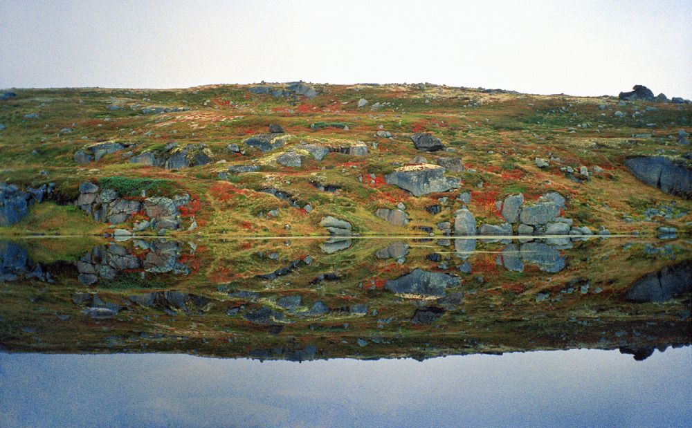 Photograph by Екатерина Провоторова