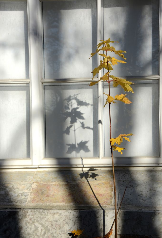 Photograph by Ольга Михайлова