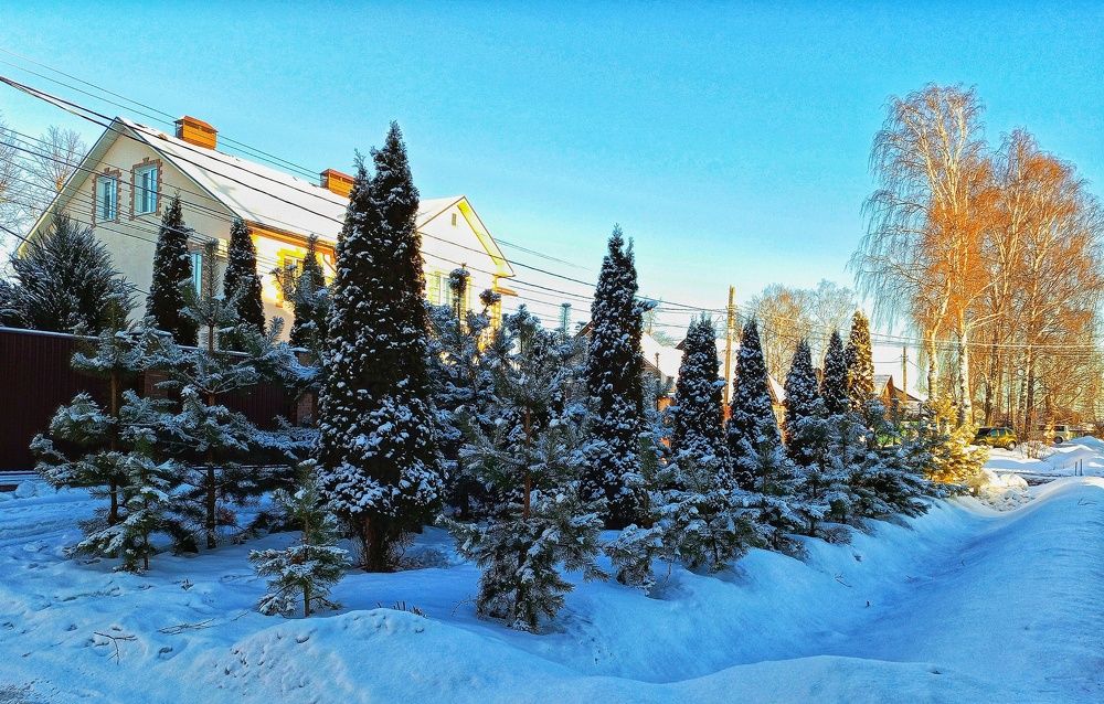 Photograph by Денис Умеренков