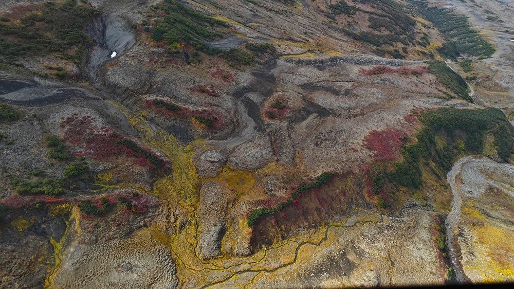 Tundra. Kamchatka