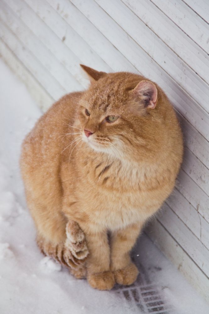 Фотография автора Михаил Бушенёв