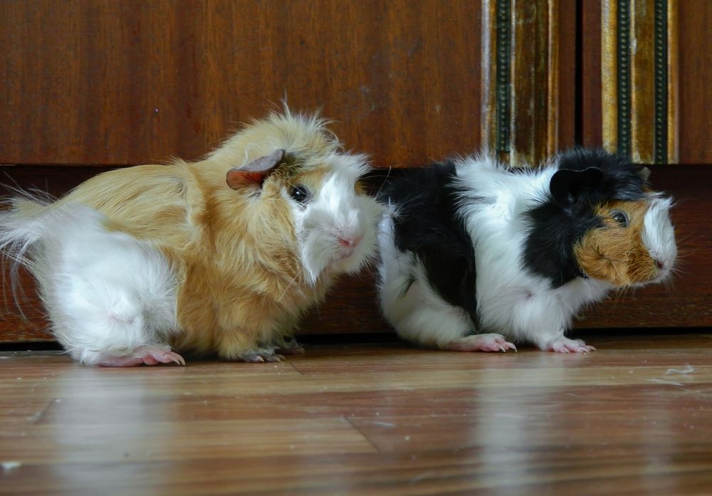 Фотография автора Михаил Бушенёв