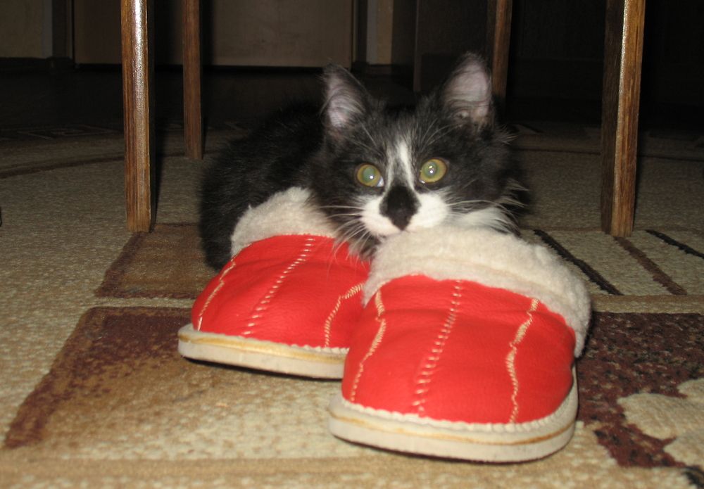 Photograph by Anton Hantov