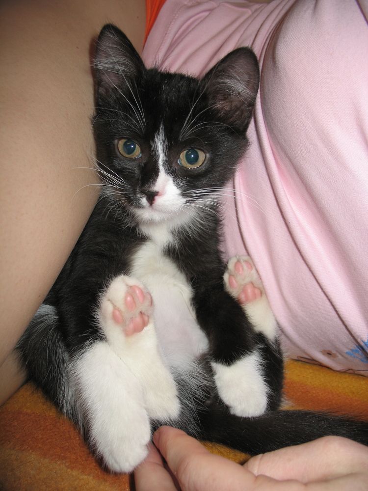 Photograph by Anton Hantov