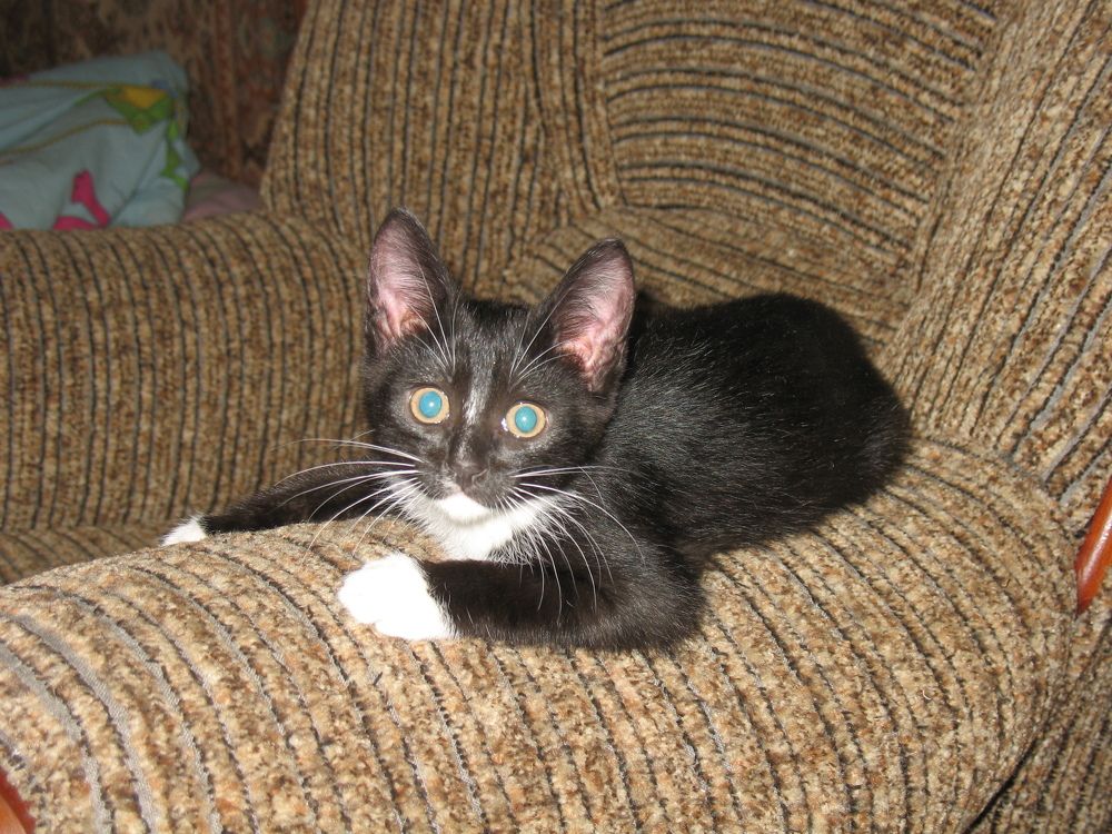 Photograph by Anton Hantov