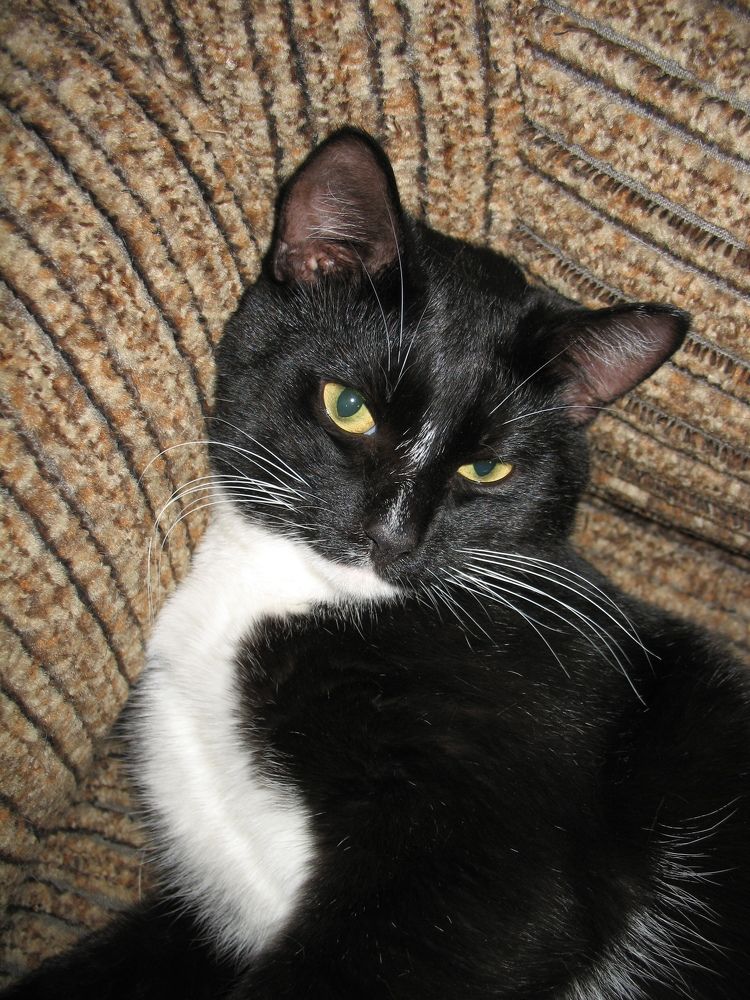 Photograph by Anton Hantov