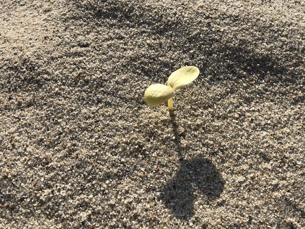 Photograph by Оксана Абакумова