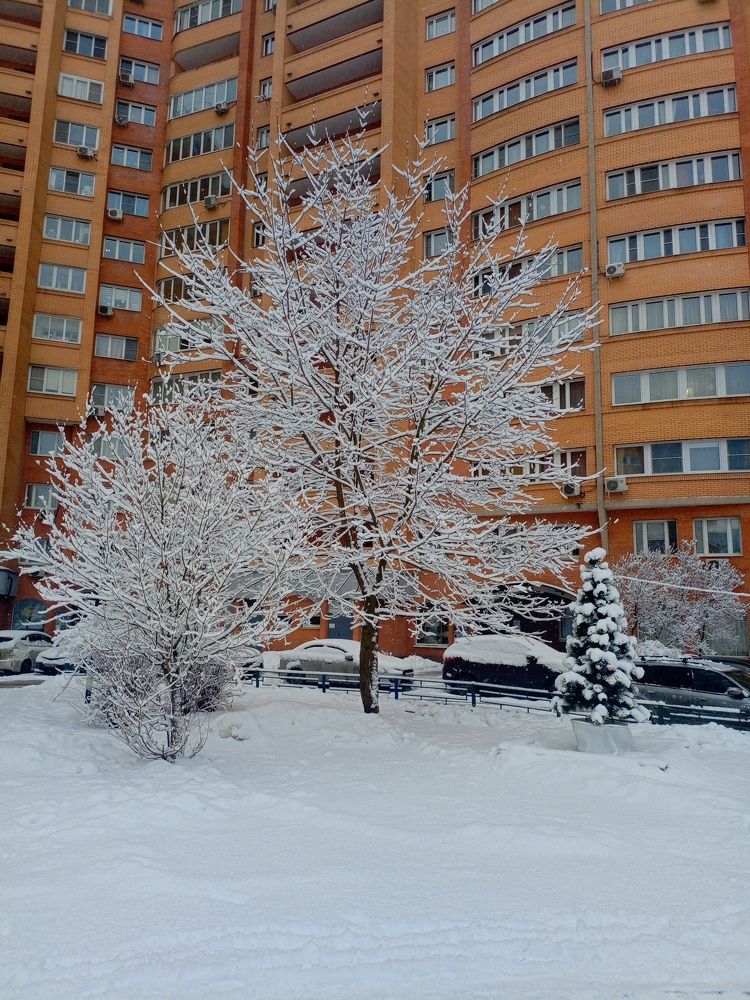 Photograph by Денис Умеренков