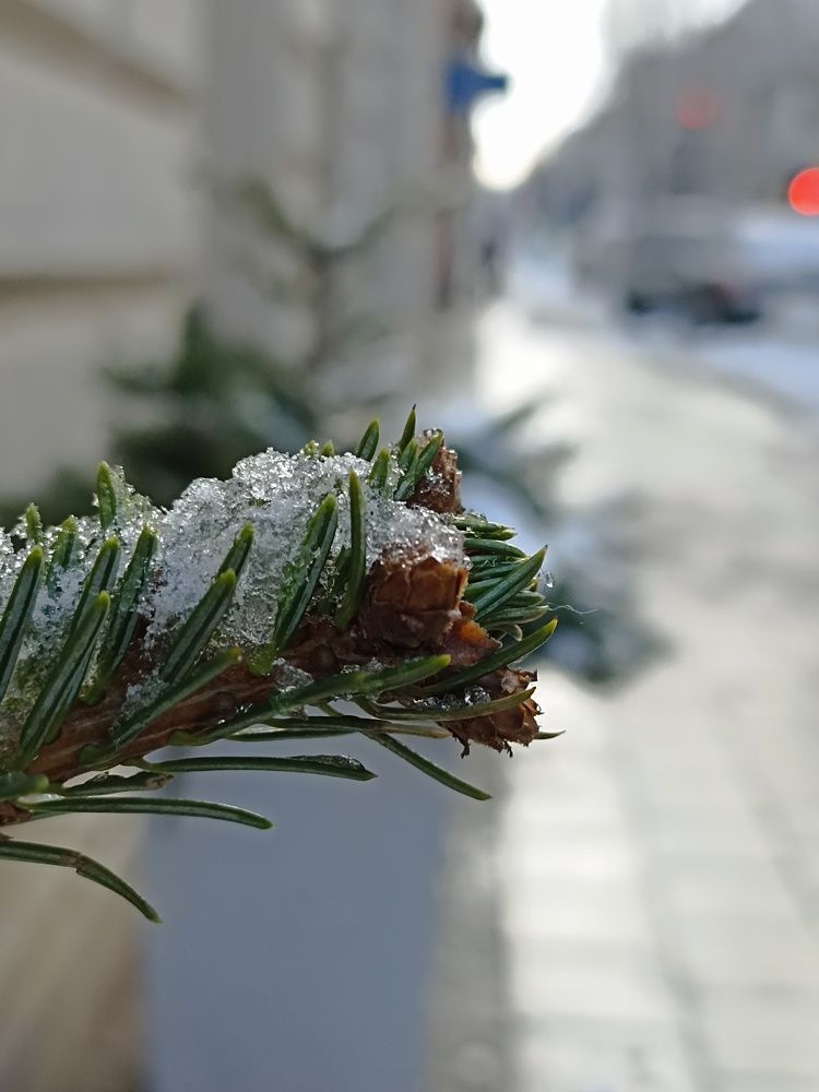 Photograph by Viktoryia М